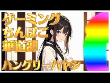 【off vocal】ハングリーハヤシ - ゲーミングちんぽこ華道部