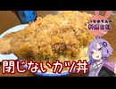 閉じないカツ丼なんてサクサクでおいしいに決まってます！【VOICEROIDキッチン】