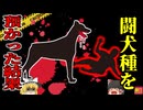 【2021年】「子供の悲鳴が聞こえる」通報を受けた警察が駆け付けると、そこには犬に食い荒らされた子供の姿が…何故飼育していた犬が突然狂暴に？【ゆっくり解説】