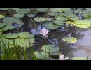 再生/初音ミク