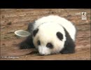 PandapiaLive_2024_08_12 10周年特番（後半）