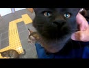 猫島のフェリー乗り場待合室に行ったら超絶楽しい空間だった