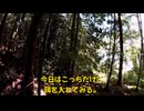 (８月１１日収録分)変態忍者の、有害鳥獣駆除従事活動記・その２９７