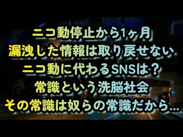 24年7月【不正】だらけの民主主義