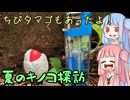ゴールドドライバー茜、ちょっとだけ走る「夏のキノコ」