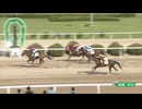 2024年6月11日佐賀競馬4R ＪＲＡ交流 えびの特別(九州産) カシノルーカス