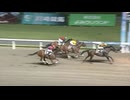 2024年6月13日川崎競馬11R 中原（なかはら）オープン(OP) ジョエル
