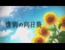 惜別の向日葵【歌ってみた】
