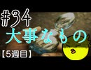 【忌火起草】花が咲く場所を選べないように僕もゲームを選べない#34