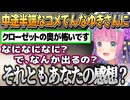 【Visage】4年ぶりのホラゲ「Visage」をお酒の力でやるルーナ姫【姫森ルーナ/ホロライブ切り抜き】
