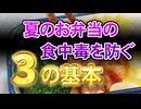 【お弁当の食中毒対策】菌をつけない・増やさない・やっつける！（嫌がる娘に無理やり弁当を持たせてみた息子編）