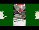 【 #フクロモモンガ 】水飲みアピールを強要されたの！【 #おはモモンガ 】