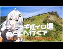 【シンプル車載動画投稿祭】チバラギボイロ達どこへ行く？　グレイテスト・群馬