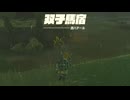 ゼルダの伝説　ティアーズ オブ ザ キングダム　実況プレイPart100