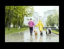 雨の中てくてく歩く系フリーBGM