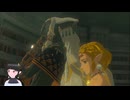 【ゼルダの伝説】周回遅れのティアキン Part137【TotK】