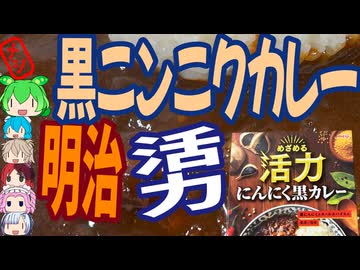 フルーティーな濃い味カレー-明治めざめる活力にんにく黒カレー[世界のグルメを食べ尽くせ！]