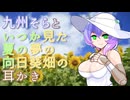 【ASMR】【耳かきボイス】九州そらといつか見た夏の夢の向日葵畑の耳かき【VOICEVOX】