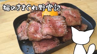 猫のきまぐれ野営記　 真夏の肉盛りデイキャンプ