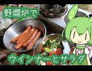 【野燗炉】ウインナーとサラダ【ﾐﾆ長火鉢】