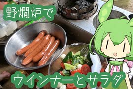 【野燗炉】ウインナーとサラダ【ﾐﾆ長火鉢】