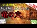 【ELDEN RING】巫女無しイタコの限界旅 Part30 竜の穴！【Lv1強化0加護0カンスト】