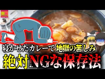 【2009年】一晩寝かせたカレーで命の危機 意外と見落としがちな身近な危険 調理済み、かつ摂氏100℃で加熱しても無駄な恐ろしい菌「給食病」【ゆっくり解説】