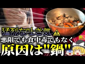 【2019年】悪阻だと思っていた猛烈な吐き気…実は全く関係ない別の意外な原因が…調理器具に潜む危険 使用・保管方法を間違えると命の危機も【ゆっくり解説】