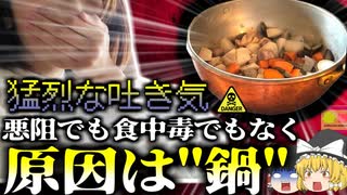 【2019年】悪阻だと思っていた猛烈な吐き気…実は全く関係ない別の意外な原因が…調理器具に潜む危険 使用・保管方法を間違えると命の危機も【ゆっくり解説】