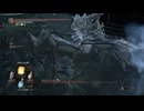 妖王オスロエスNPCのみ
