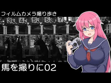 【ニコンF】馬を撮りに02【フィルムカメラ撮り歩き】