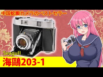中国スプリングカメラのベストセラー【海鴎 203-1】 フィルムカメラの紹介