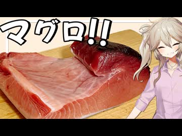 【料理】天然本マグロのブロックをさばいて食べる〜投稿５周年記念〜【VOICEVOX春日部つむぎ】