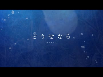 どうせなら / アマモヨイ 【VocaDuo2024】