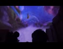 【TDS】ピーターパンのネバーランドアドベンチャー