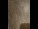 74548274710__31C6CD70-1DEB-43F7-A35D-E4E2CCC426DE