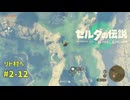 【ティアキン】ゼルダの伝説ティアーズオブザ キングダム2周目　#2-12 リト村へ