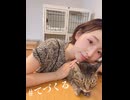 洲崎綾の「手づくるラジオ」第102回