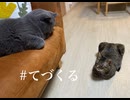 洲崎綾の「手づくるラジオ」第100回