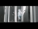 ⬡ Door in the fake
