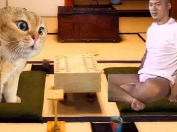 将棋をする猫とMUR