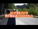 【旧大滑隧道】奥秩父の廃トンネルで眠るアレに会ってきた
