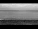 20240422 1418 Wada Nagahama Beach (HPL Binaural)