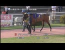 ＪＢＣ協会協賛 第52回高知優駿（ダノンキングリー賞）［地方全国交流］ パドック～本馬場入場