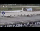 ＪＢＣ協会協賛 第52回高知優駿（ダノンキングリー賞）［地方全国交流］ プリフロオールイン