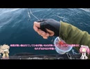 ボイスロイドフィッシングオフ会 in 三重県（シマアジ狙い）