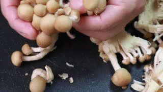 ピリ辛きのこ（お弁当のスキマを埋めるもう一品）