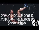【ゆっくり解説】アデノシン三リン酸って何？エネルギーを生み出す3つの仕組みとは？
