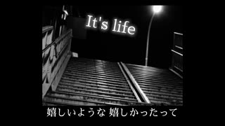 IT'S LIFE / タイラタ(平田政義)