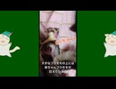 【 #フクロモモンガ 】ぐっすり眠る母子達！【 #おはモモンガ 】